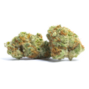 Amnesia Flash