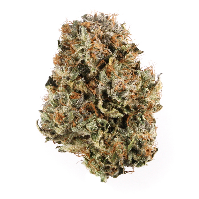 Grape Galena