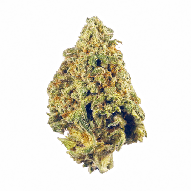 Bio Star