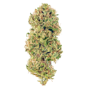 Huckleberry