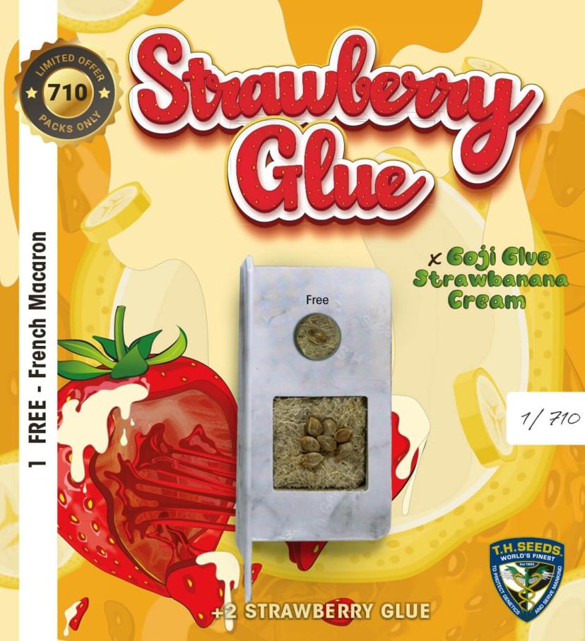 T.H.Seeds™ Cannabis Seeds Strawberry Glue, various packaging, feminized